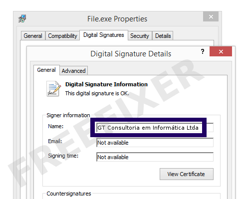 Screenshot of the GT Consultoria em Informática Ltda certificate